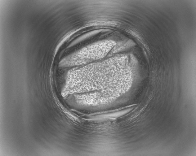 X0000051860928200507221853