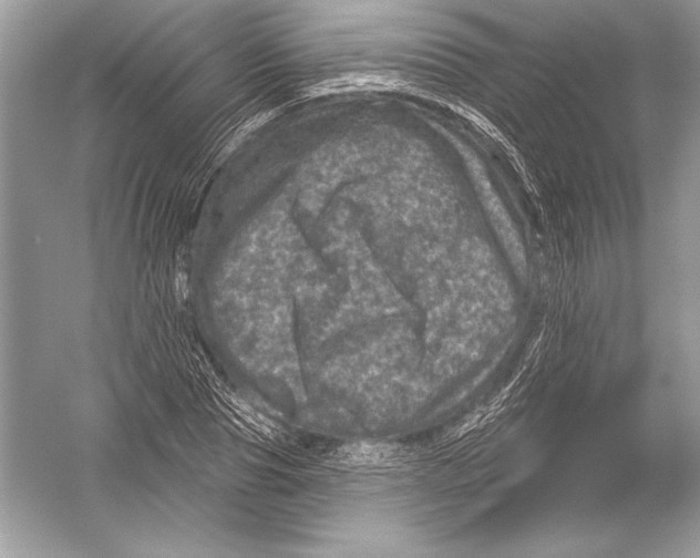 X0000051860929200507221853