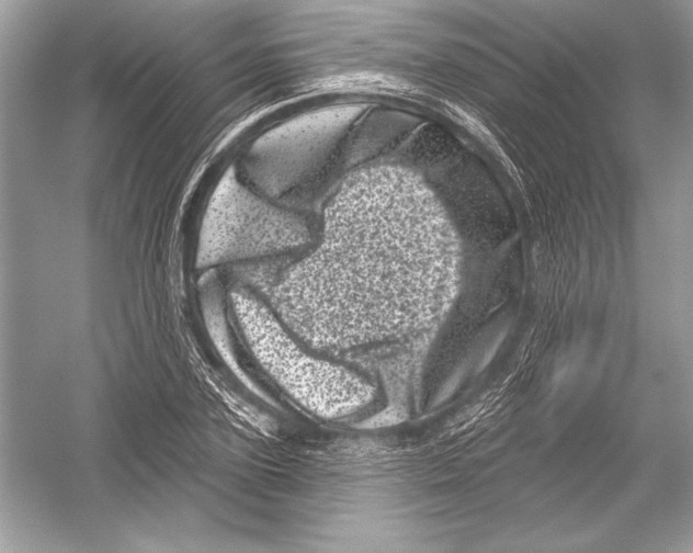 X0000051860931200507221853