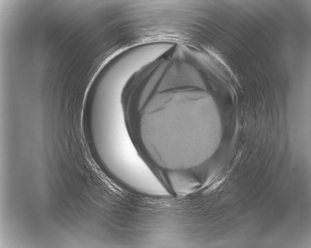 X0000051860932200507221853