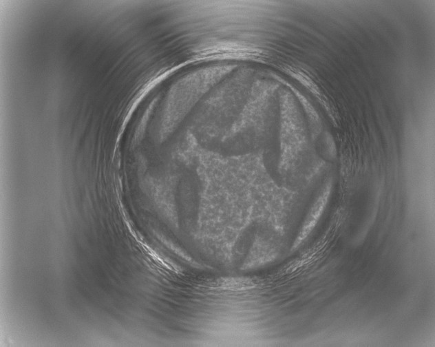 X0000051860933200507221853