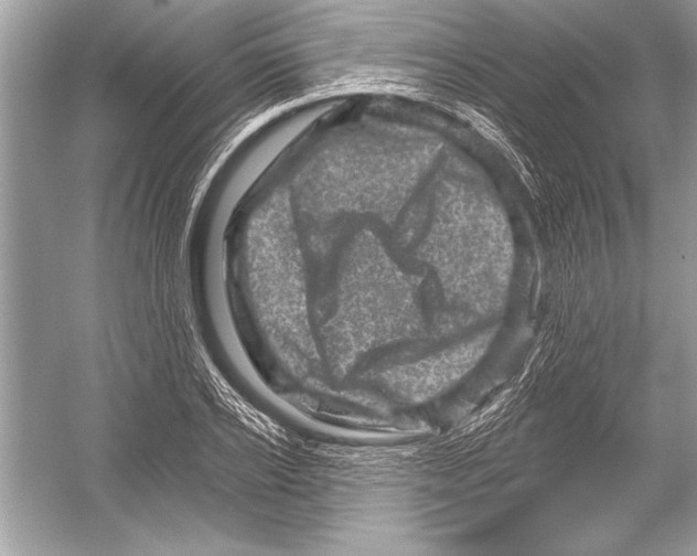 X0000051860934200507221853