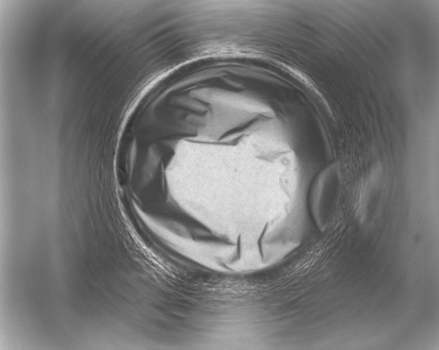 X0000051860935200507221853