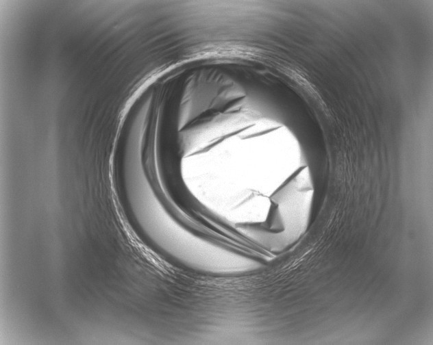 X0000051860936200507221853