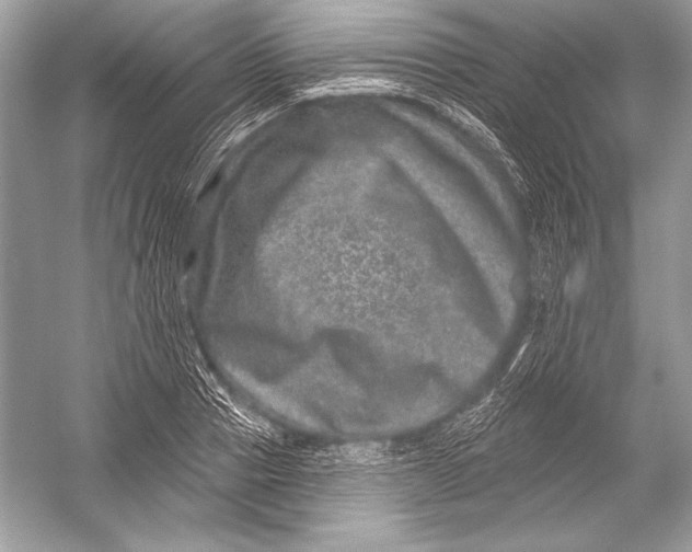 X0000051860937200507221853