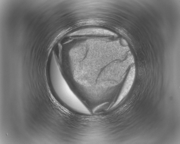 X0000051860938200507221853