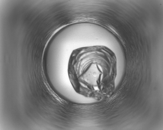 X0000051860940200507221853