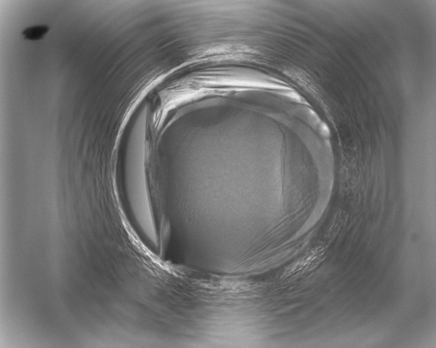 X0000051860941200507221853