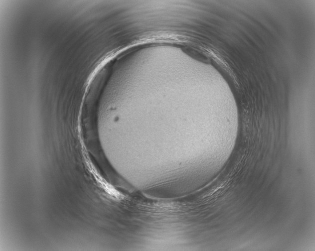 X0000051860944200507221853