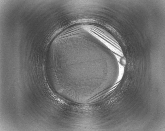 X0000051860945200507221853