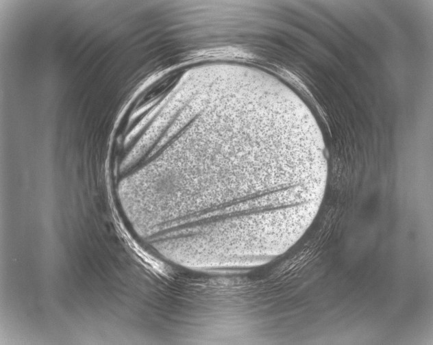 X0000051860947200507221853