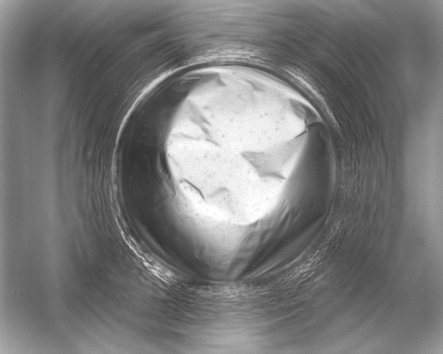 X0000051860948200507221853