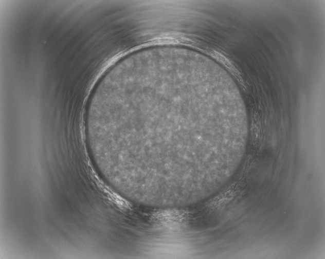 X0000051860950200507221853