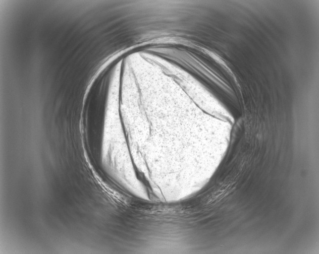 X0000051860951200507221853