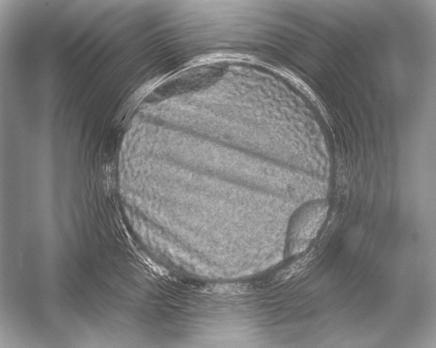 X0000051860953200507221853