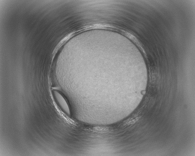 X0000051860954200507221853