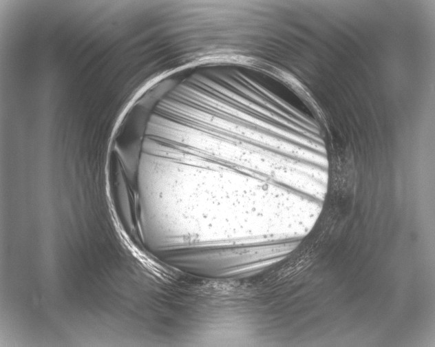 X0000051860955200507221853