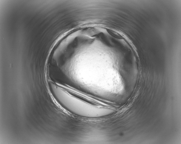 X0000051860957200507221853