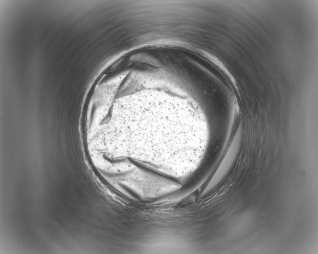 X0000051860959200507221853