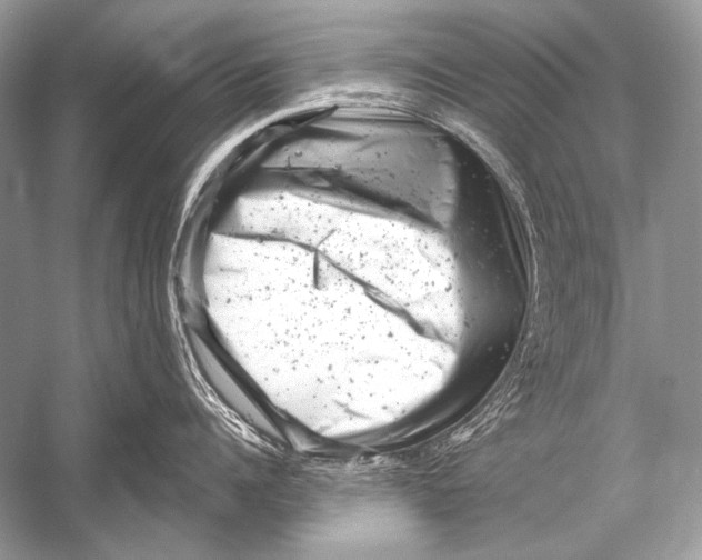 X0000051860960200507221853