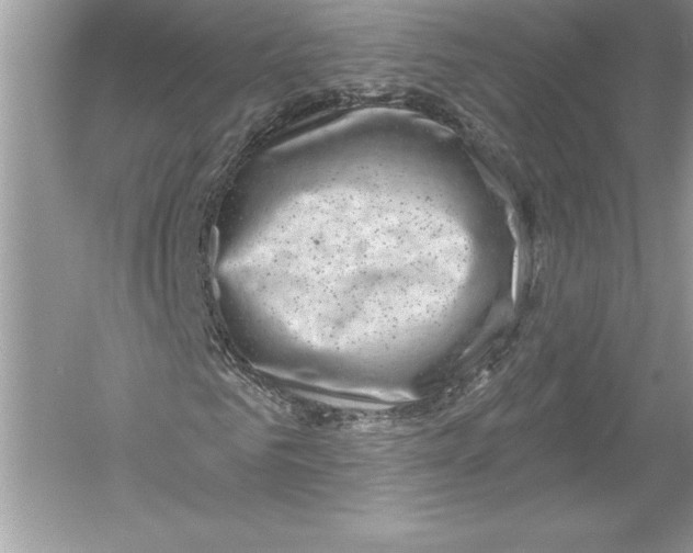 X0000051860961200507221853