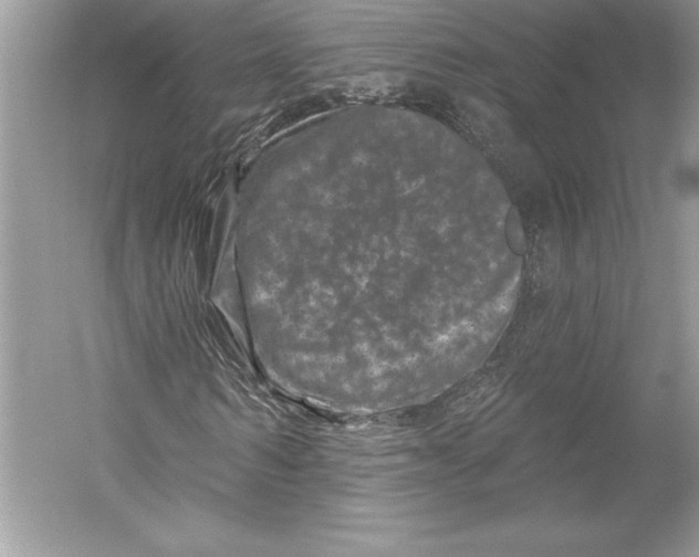 X0000051860962200507221853