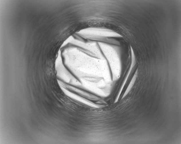 X0000051860964200507221853