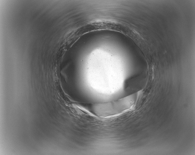 X0000051860965200507221853