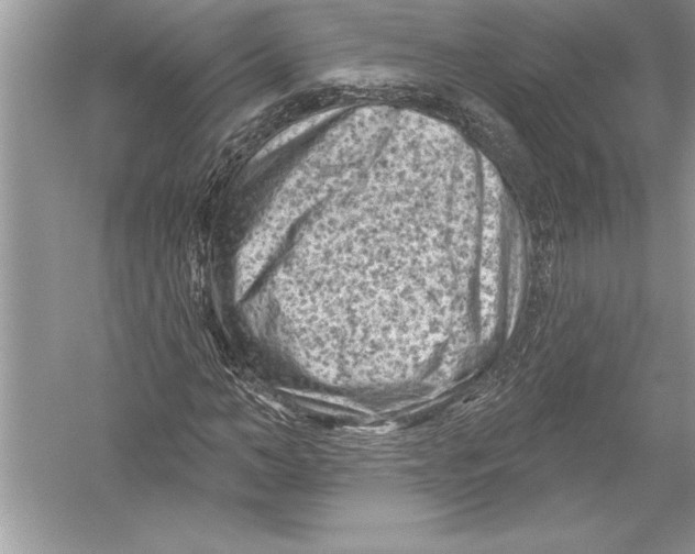 X0000051860966200507221852