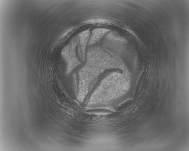 X0000051860967200507221852