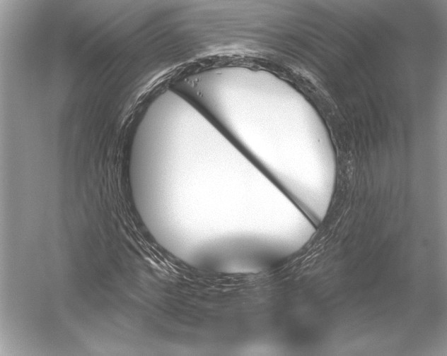 X0000051860968200507221852