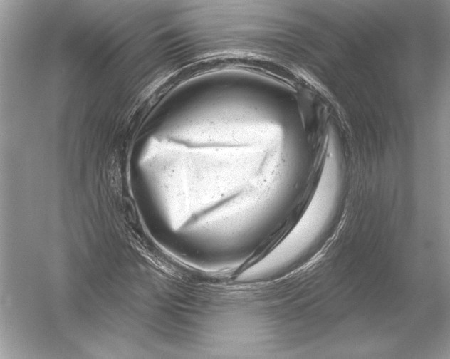 X0000051860969200507221852