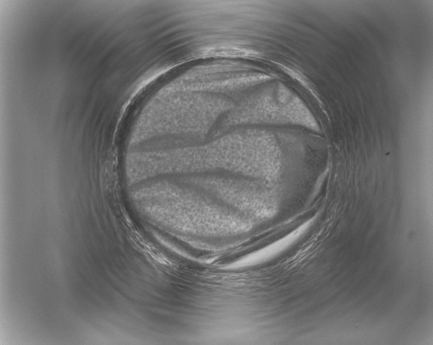 X0000051860971200507221852