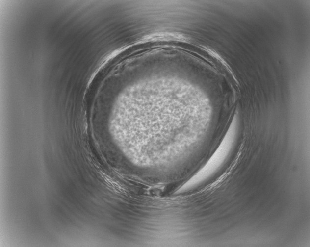 X0000051860973200507221852