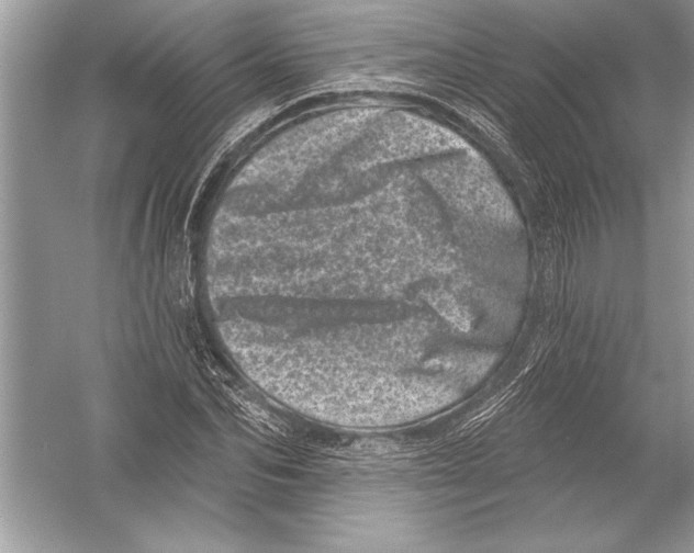 X0000051860974200507221852