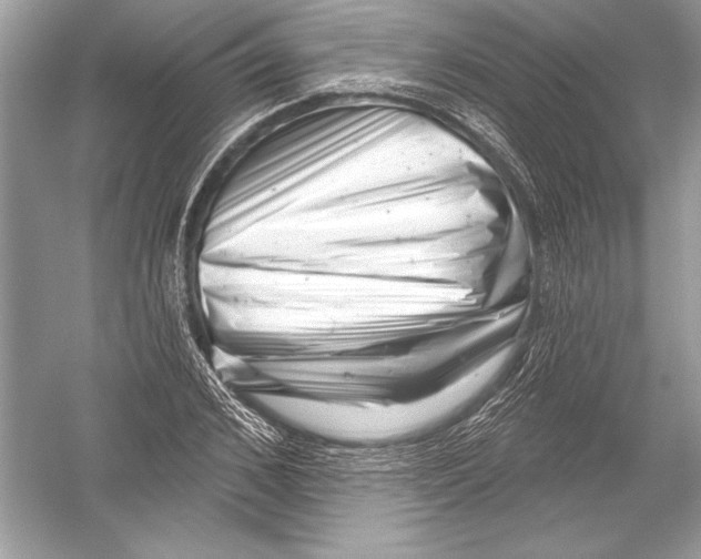 X0000051860976200507221852