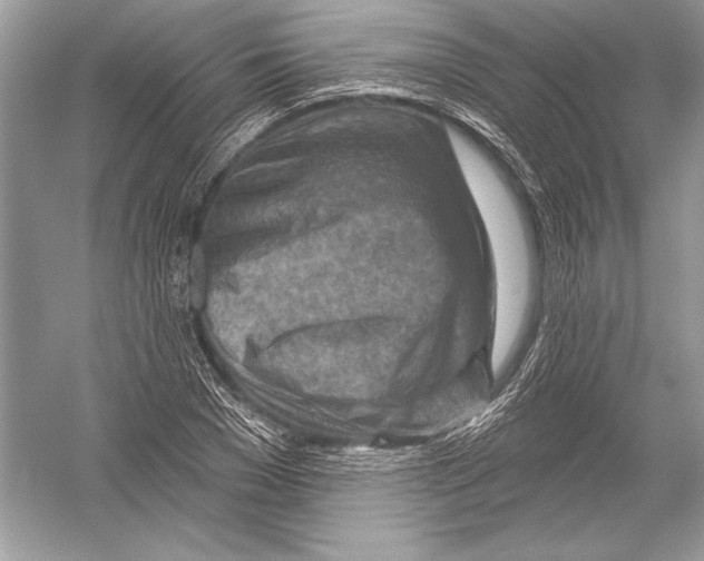 X0000051860977200507221852