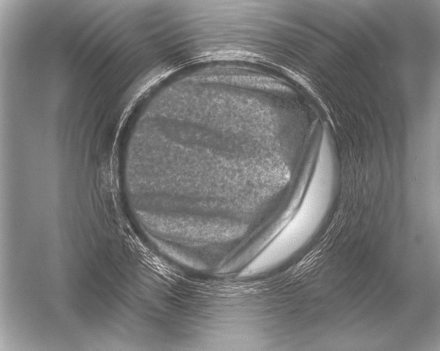 X0000051860979200507221852