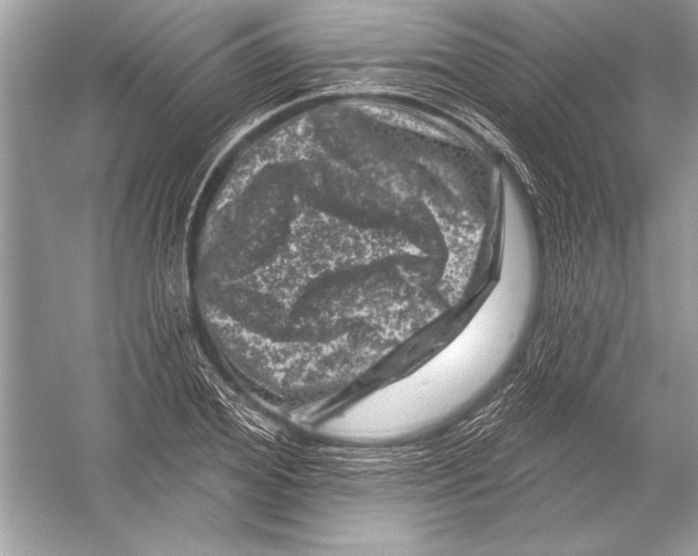 X0000051860980200507221852