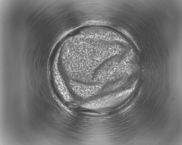 X0000051860981200507221852