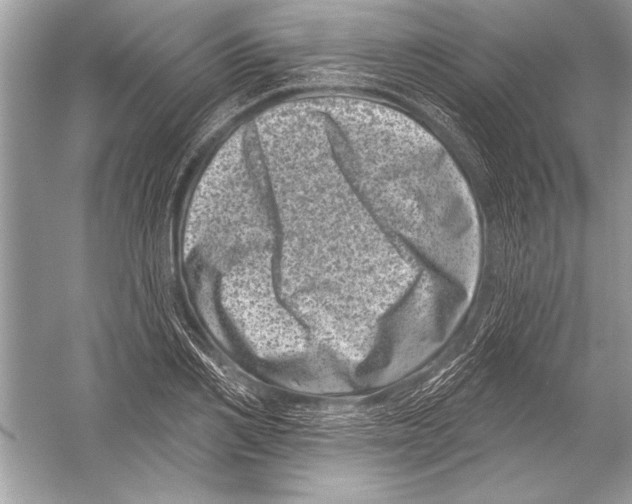 X0000051860982200507221852