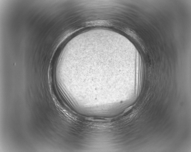 X0000051860983200507221852