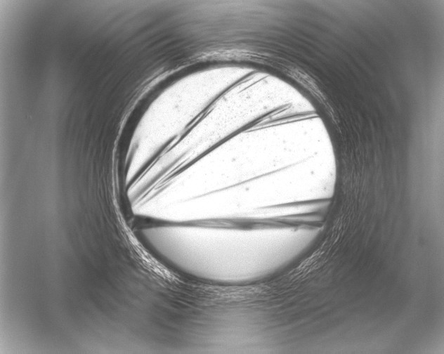 X0000051860984200507221852