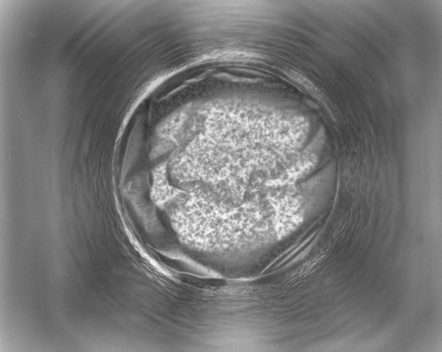 X0000051860989200507221852