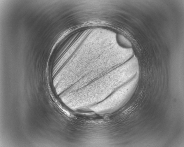 X0000051860990200507221852