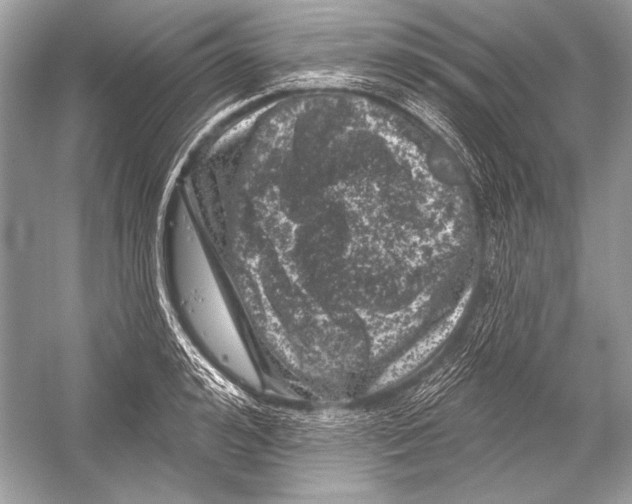 X0000051860992200507221852