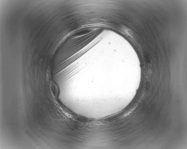 X0000051860993200507221852