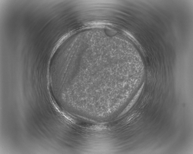 X0000051860994200507221852