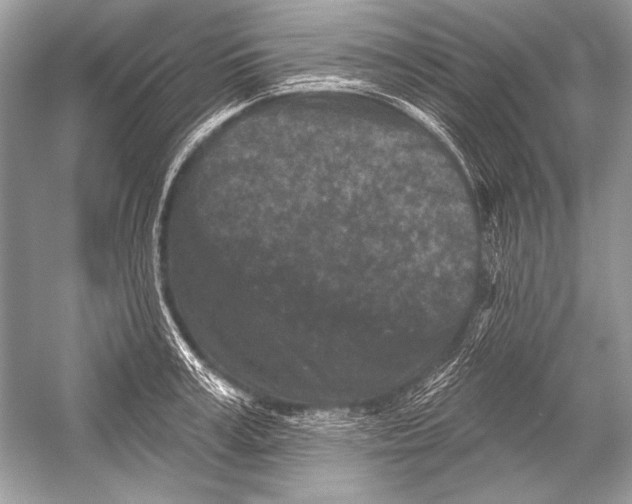 X0000051860995200507221852