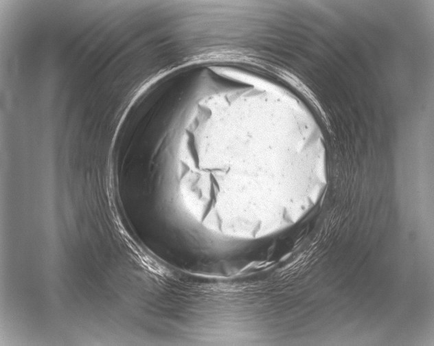 X0000051860996200507221852